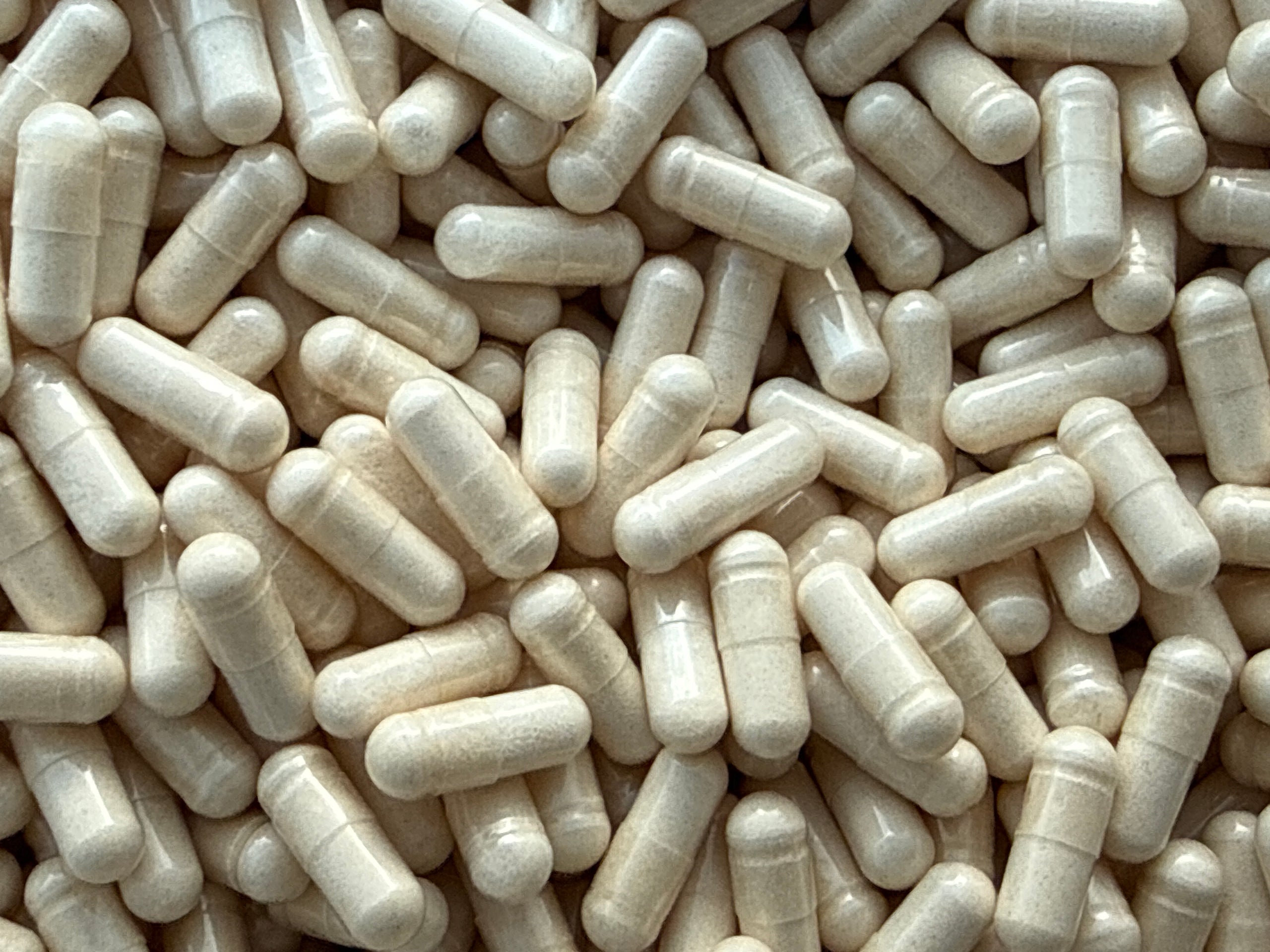 Beta-Ecdysteron 98 % – Kapseln – BulkLab Nutrition