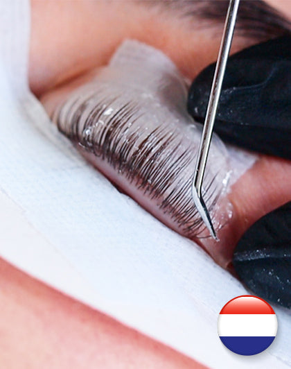 Online-Schulung Lash Volume Lift (verschiedene Sprachen)
