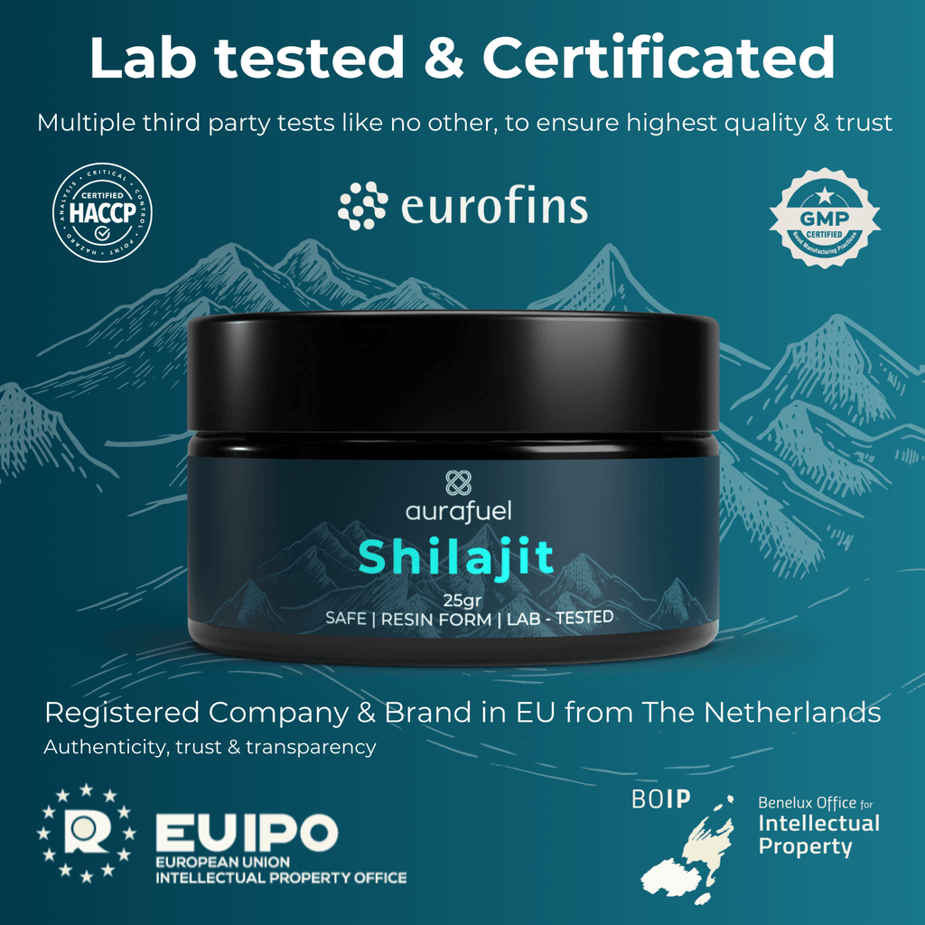 Reines Shilajit-Harz aus dem Himalaya – 100 % authentisch und gereinigt